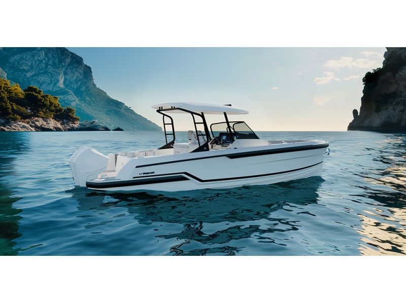 WELLCRAFT WELLCRAFT 28 T-TOP