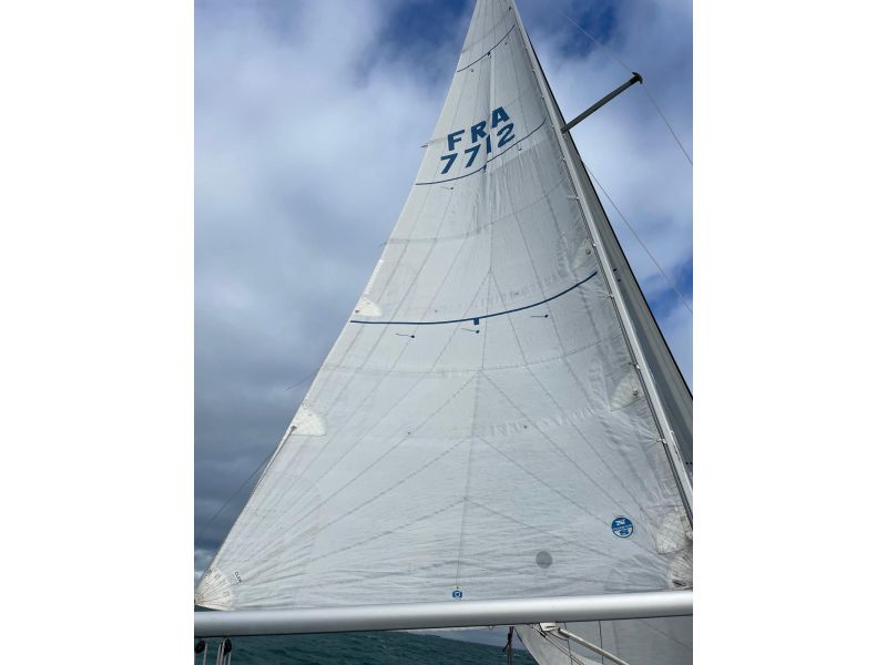 GOLDEN SHAMROCK  GOLDEN SHAMROCK occasion