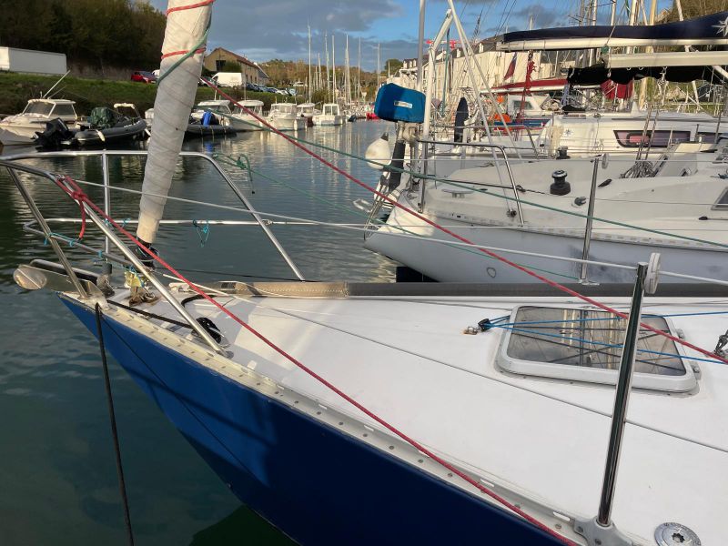 GOLDEN SHAMROCK  GOLDEN SHAMROCK occasion