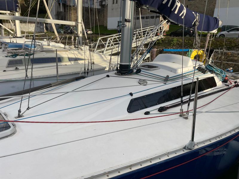 GOLDEN SHAMROCK  GOLDEN SHAMROCK occasion