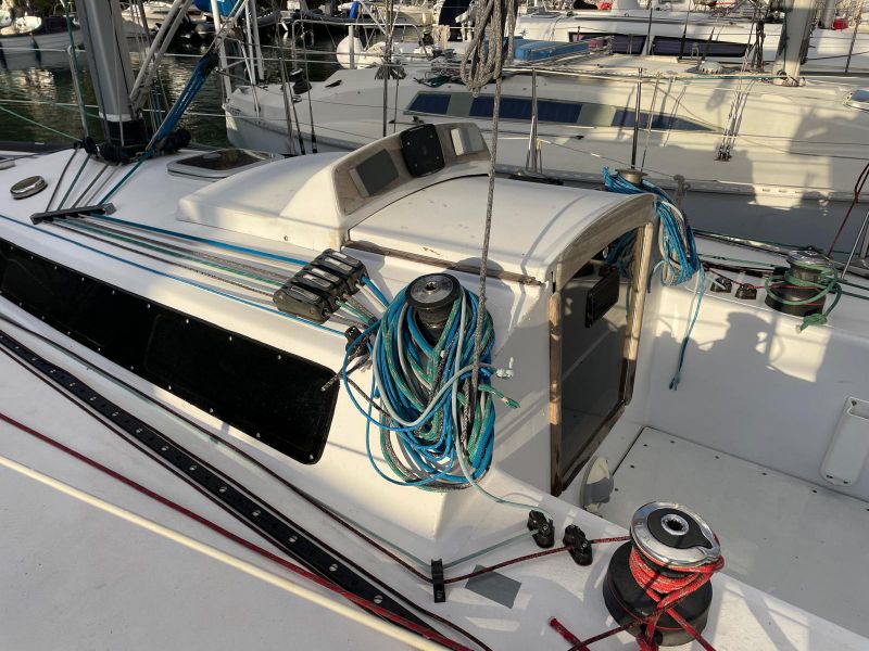 GOLDEN SHAMROCK  GOLDEN SHAMROCK occasion