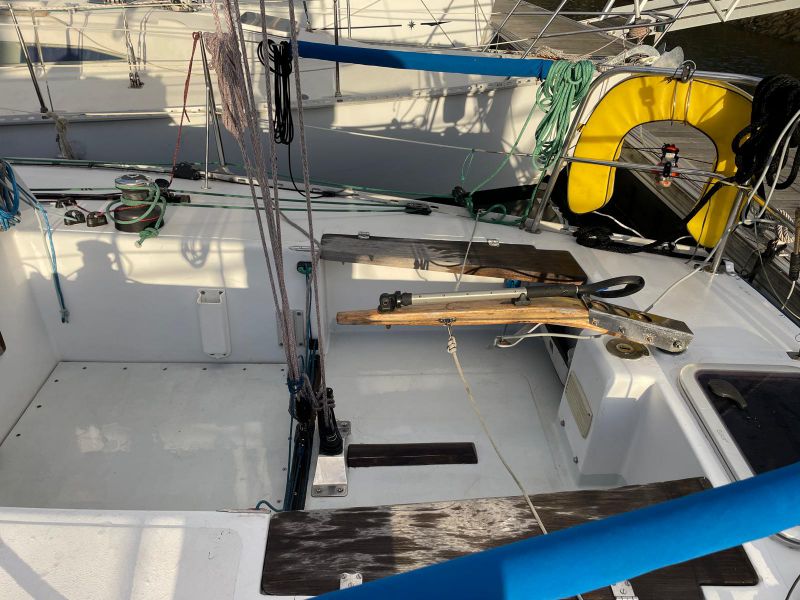 GOLDEN SHAMROCK  GOLDEN SHAMROCK occasion