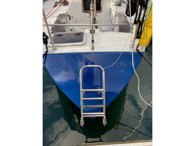 GOLDEN SHAMROCK  GOLDEN SHAMROCK occasion