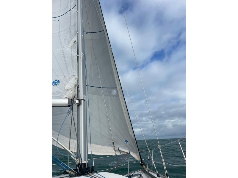 GOLDEN SHAMROCK  GOLDEN SHAMROCK occasion