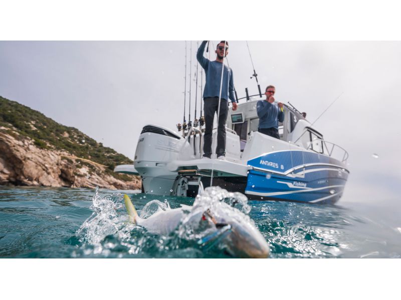 BENETEAU Antares 8 Fishing