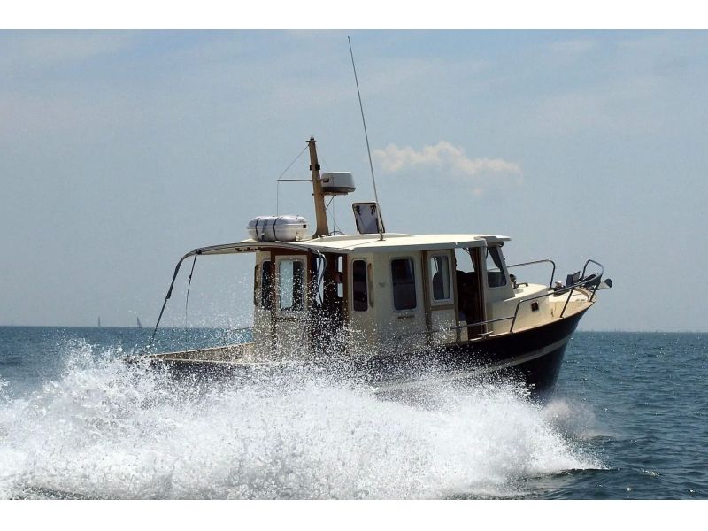 RHEA MARINE 850 Timonier
