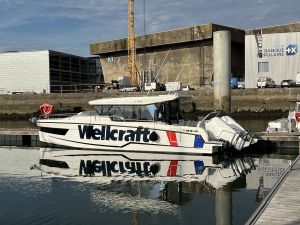 WELLCRAFT WELLCRAFT 355 EXPLORER occasion