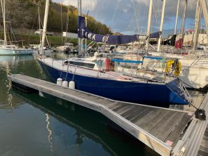 GOLDEN SHAMROCK  GOLDEN SHAMROCK occasion