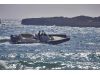 JOKER BOAT Clubman 30