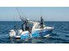 BENETEAU Antares 8 Fishing